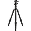 Алюминиевый штатив  "Travel" с моноподом Benro FTR09AB00GBLK